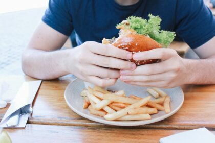 Alvin Fnaffnaf Gray Flip My Burger with Excitement!