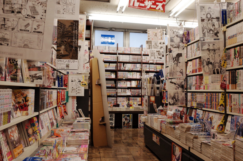 Exploring the World of Doujinmoe: A Guide to Japanese Culture